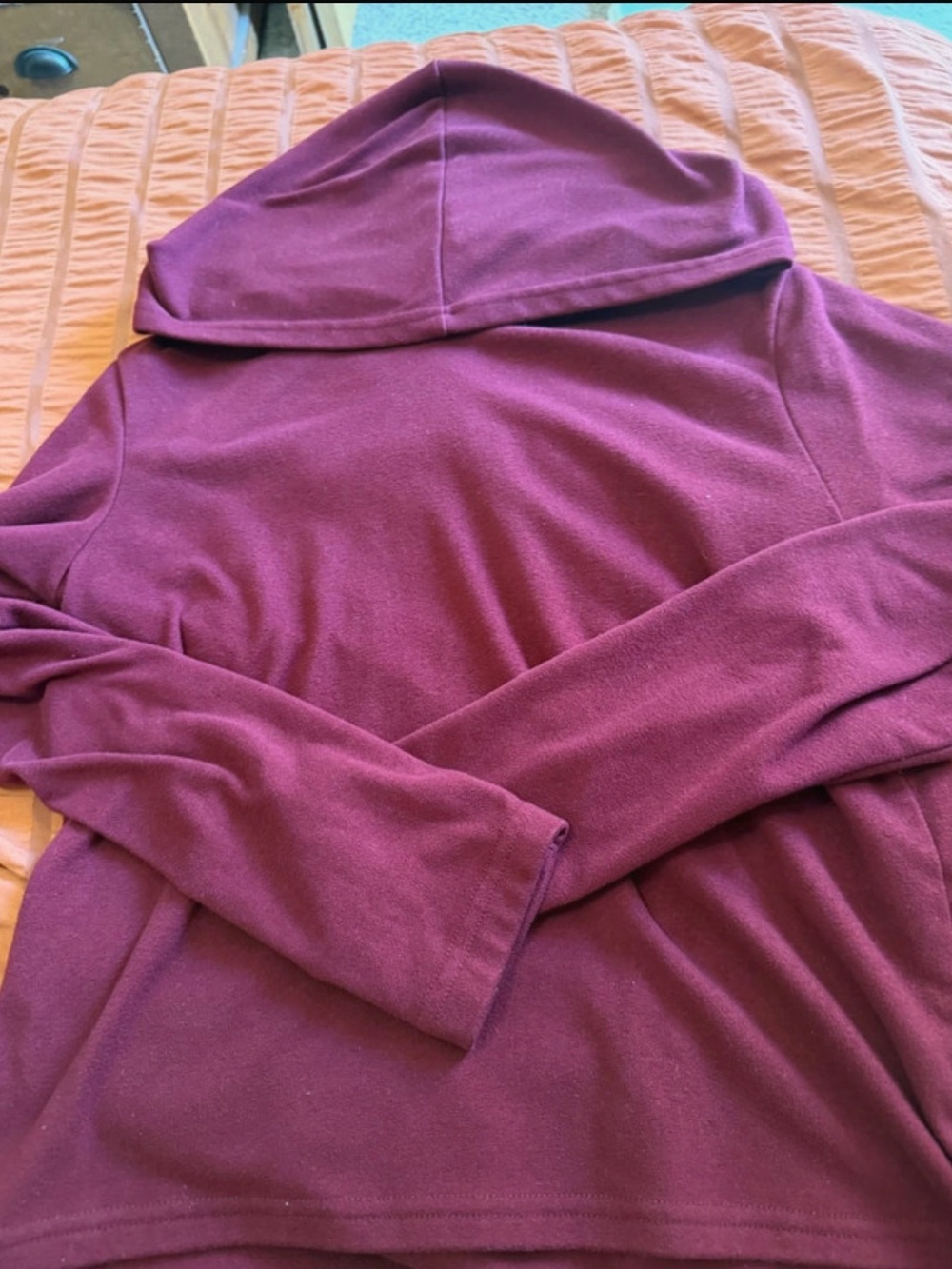 shosho Plum Hooded Pullover Top